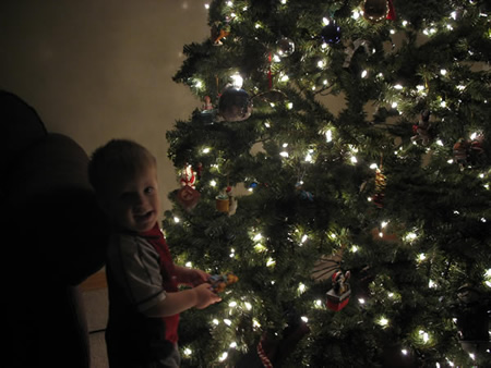 Da Tree